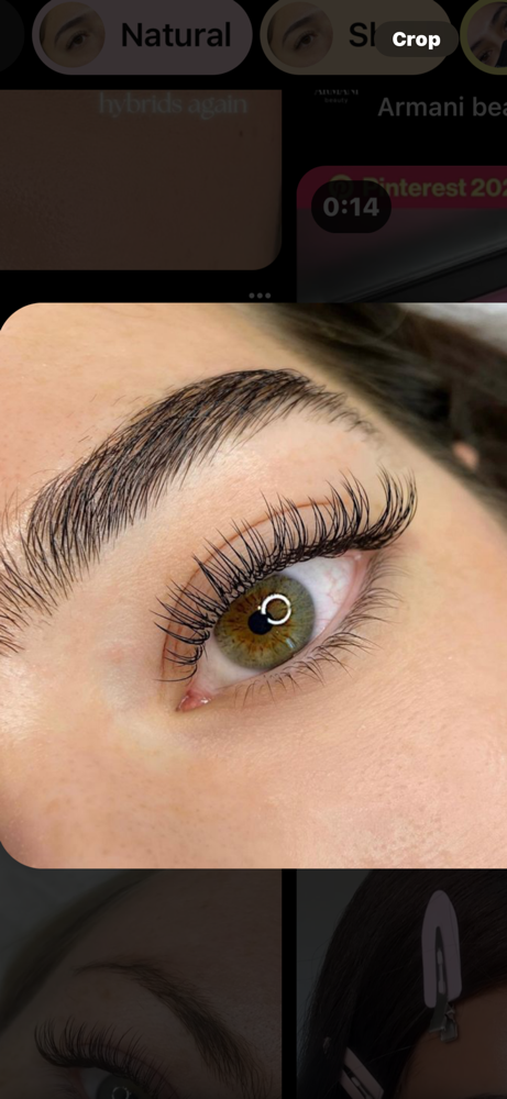 Classic Lashes