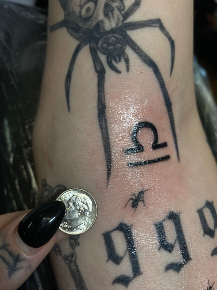 Tiny Tattoo Full Day