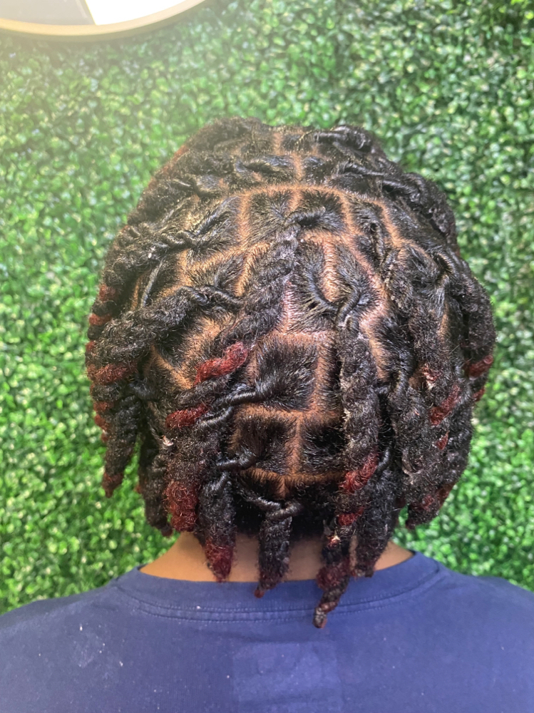 Loc Re Twist Short