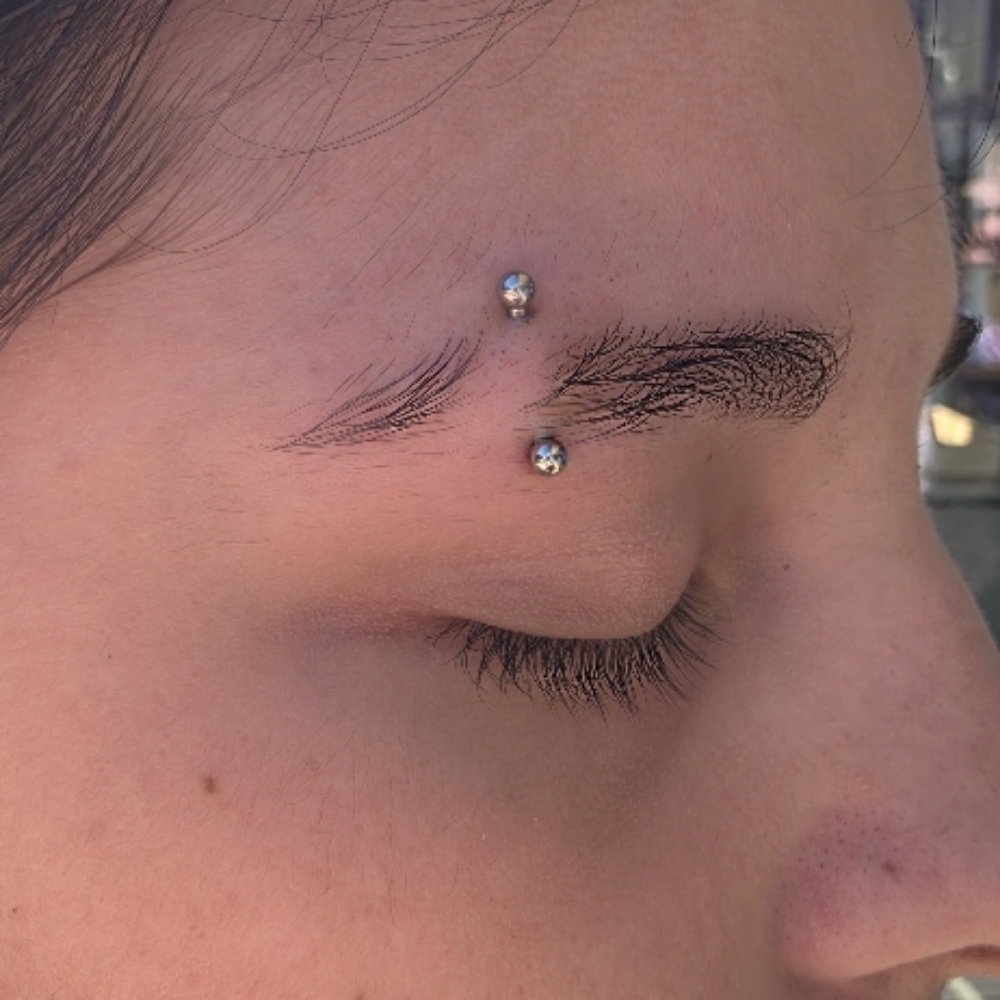 Eyebrow at The Skin Lounge in MARQUETTE, MI