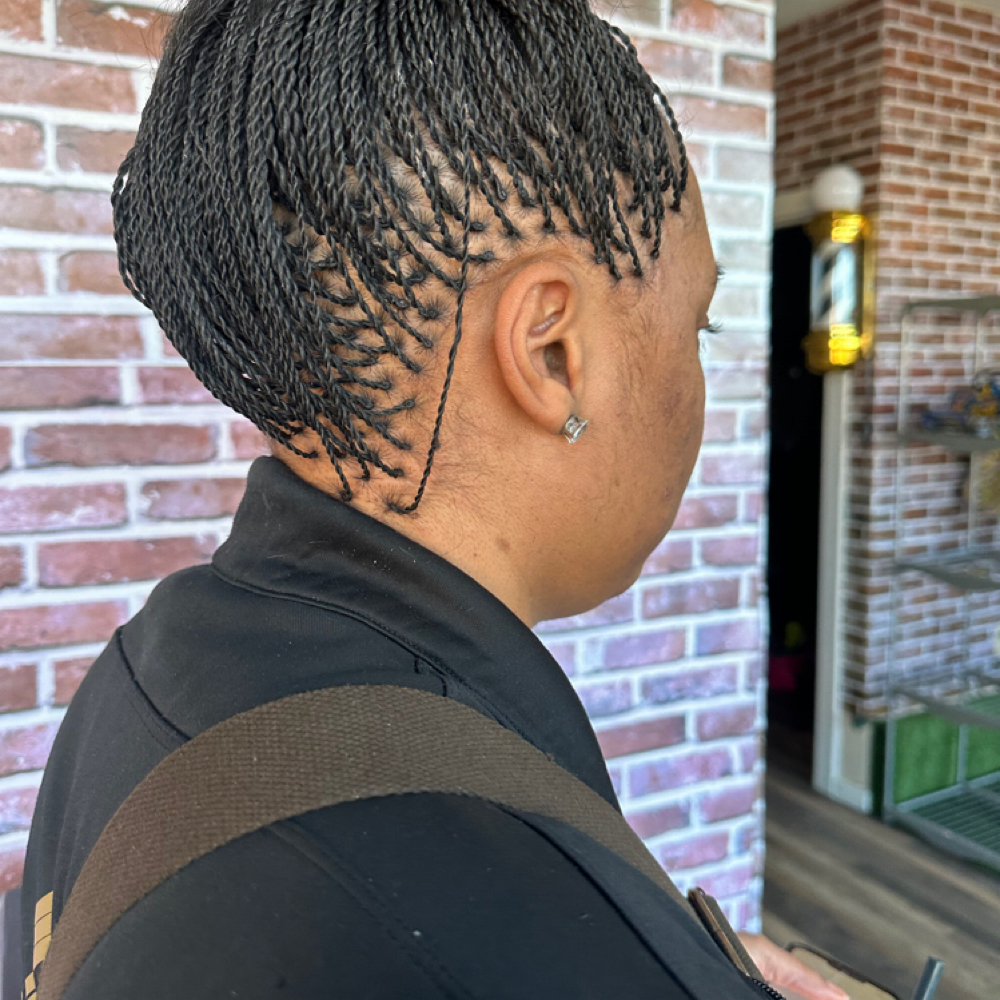 Micro Senegalese Twist at Élevé Hair Salon in Colorado Springs, CO