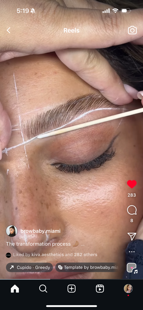 Brow Wax & Shape