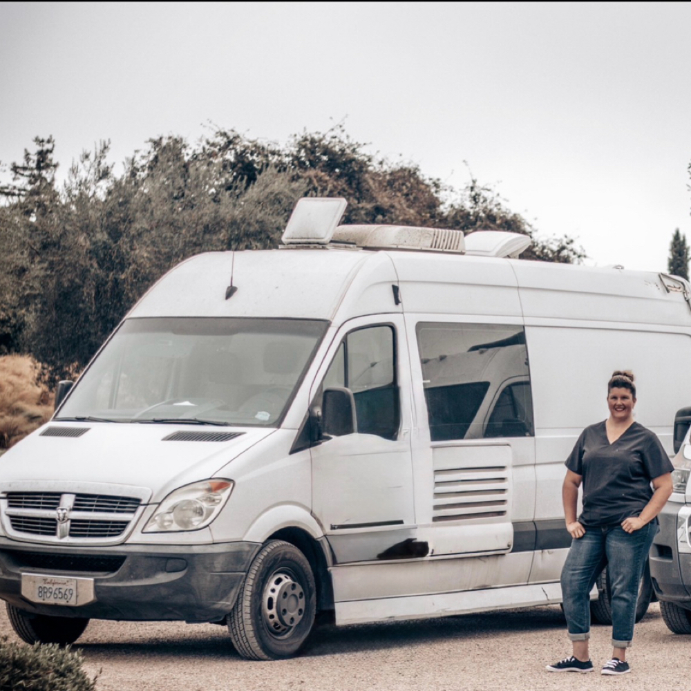 Mobile Grooming at SB Paw Spa in Santa Maria, CA