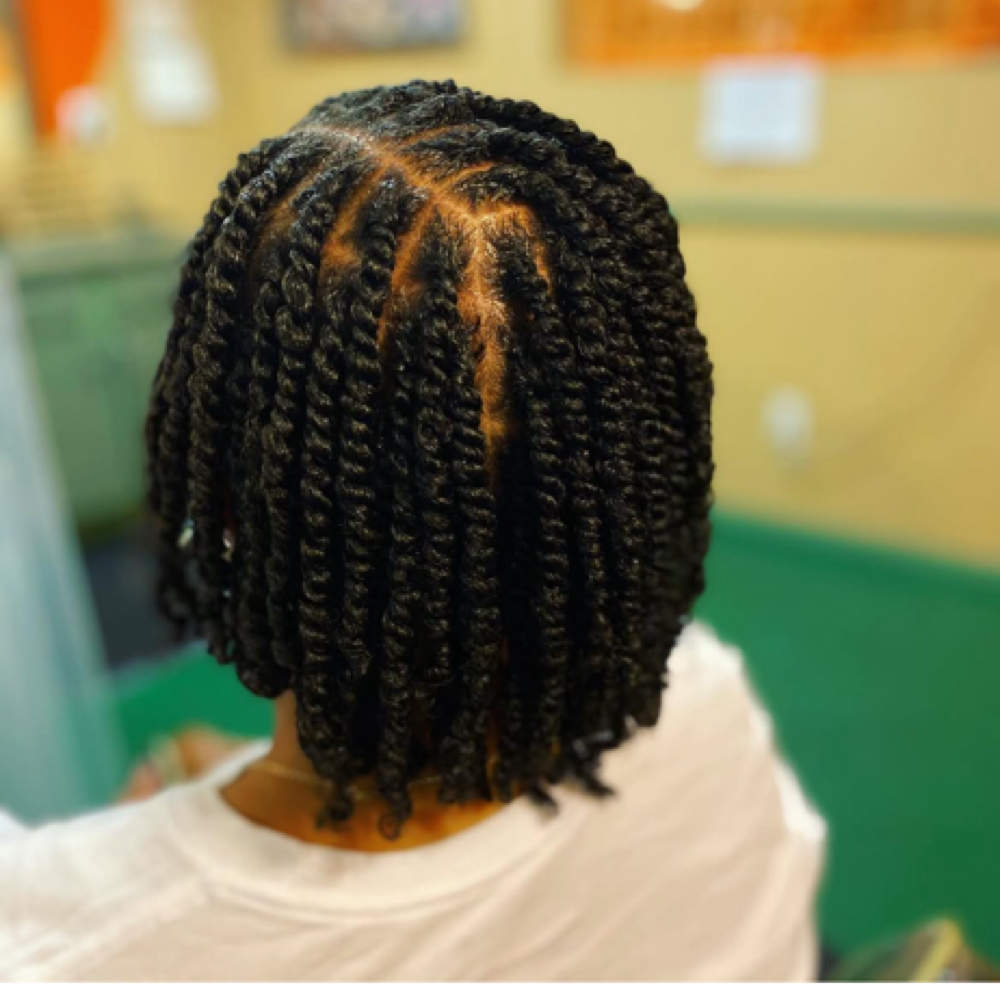 Two Strand twist at Butterfly Styles | Natural Locs in Long Beach, CA