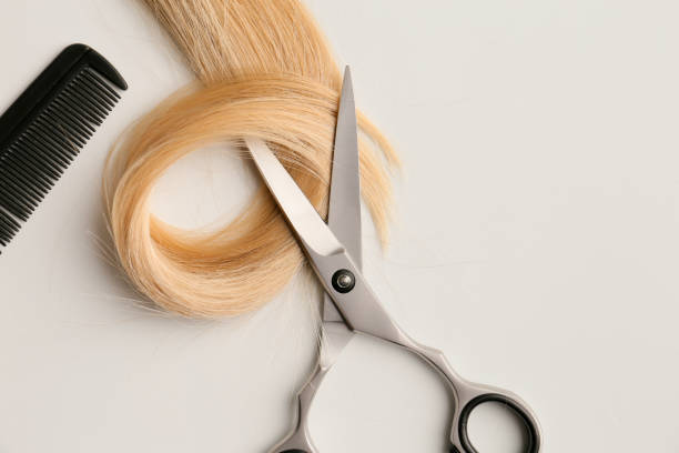 Haircut, Wash, & Style