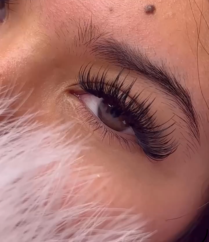 Hybrid Full Set