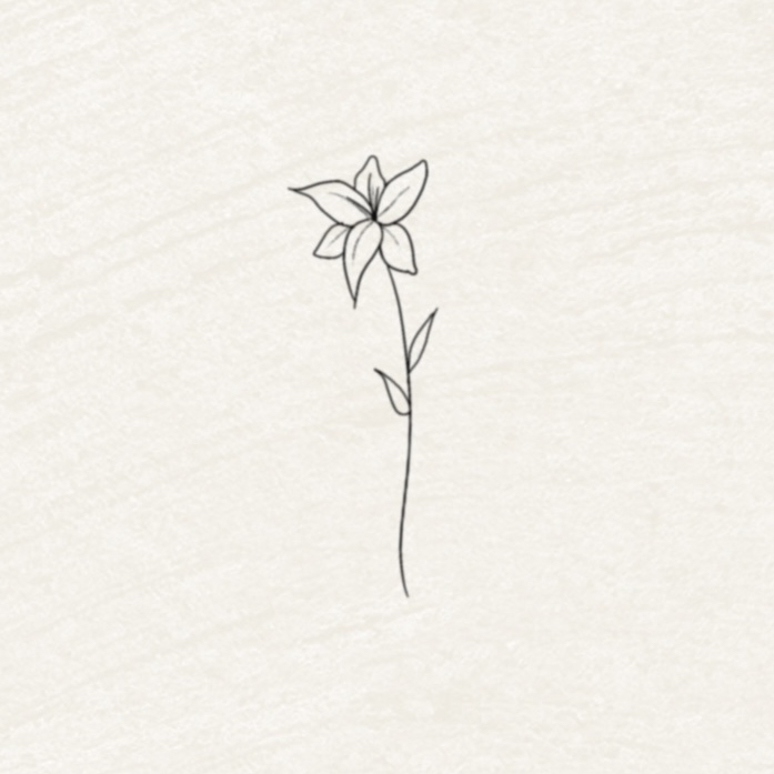 Gladiolus
