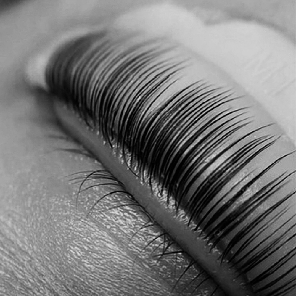 KOREAN Lash lift & tint at LCA Esthetics in Pierceton, IN