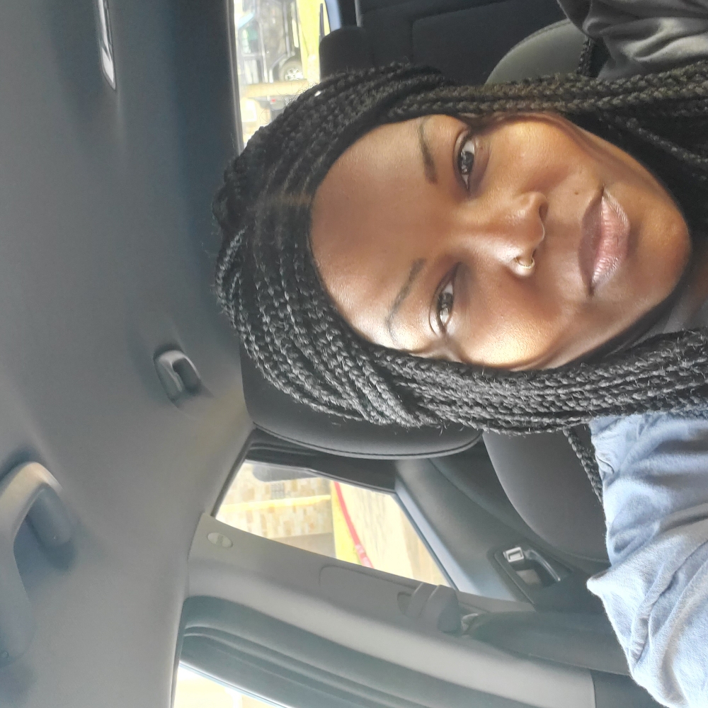 Box Braids/knotless (Hair Included)