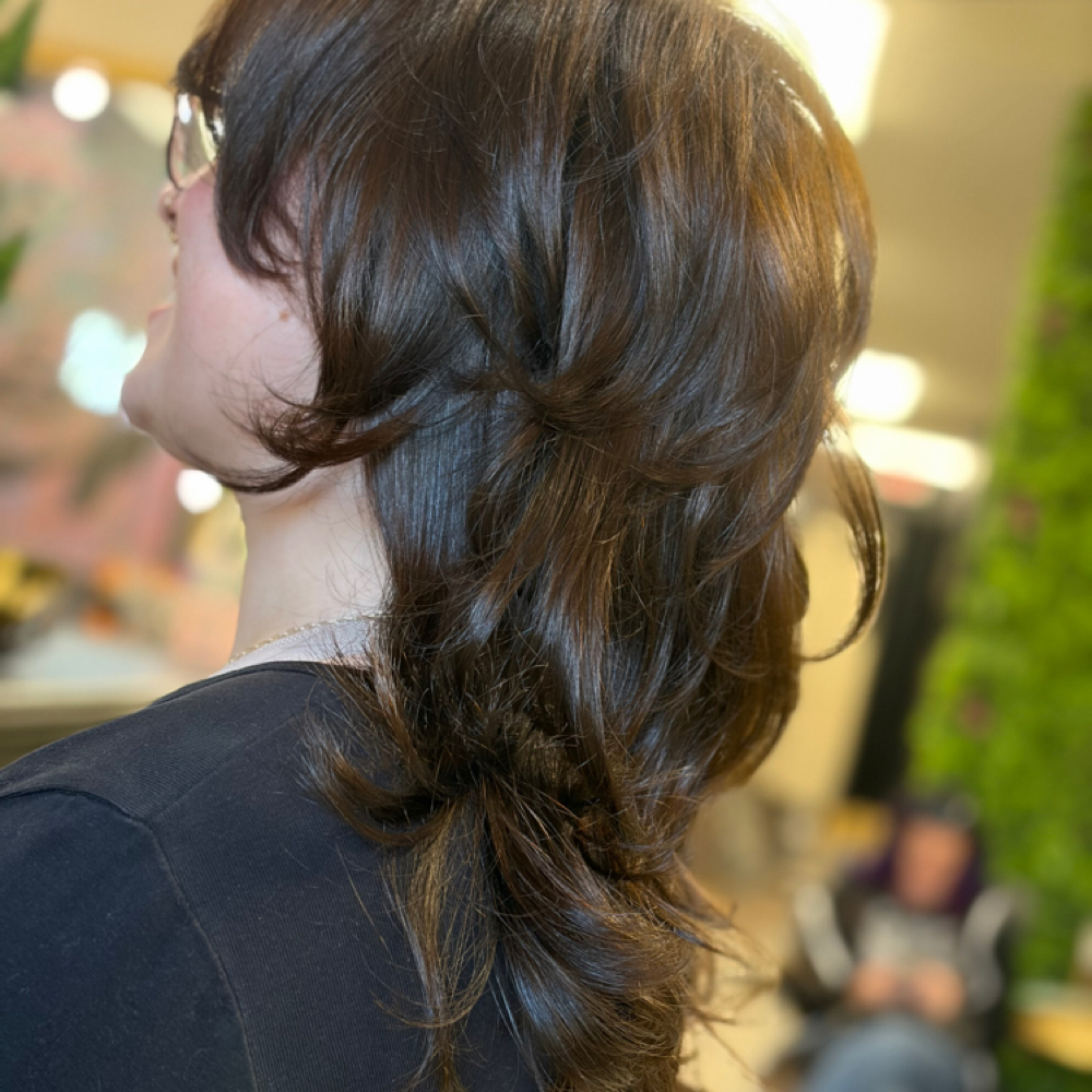 Shampoo Blowdry at Hair By Dani in Conroe, TX