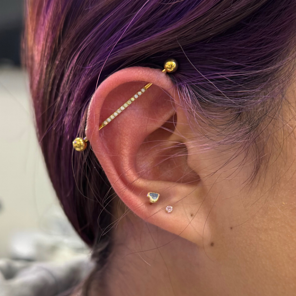 Industrial at PiercingSiren in Waukegan, IL