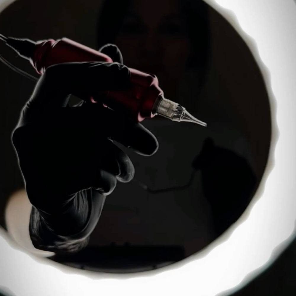 Touch Up 6-10 Week at Elite Edge Studio in Glendale, AZ