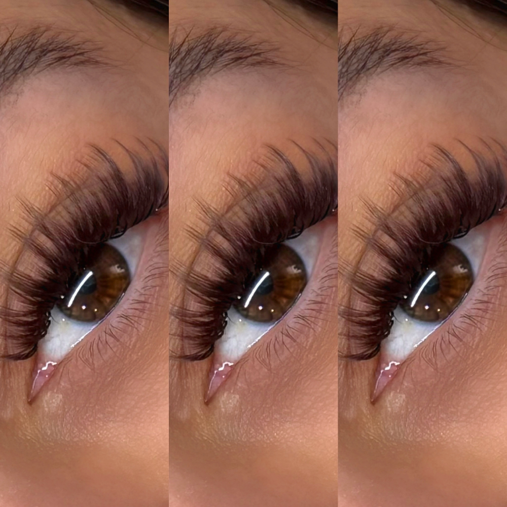 Hybrid Lash Extensions ✨