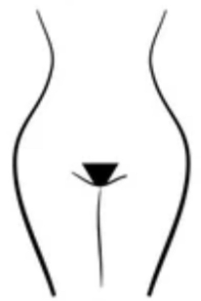 Bikini at Smooth Peach Waxing Studio LLC in Harlingen, TX