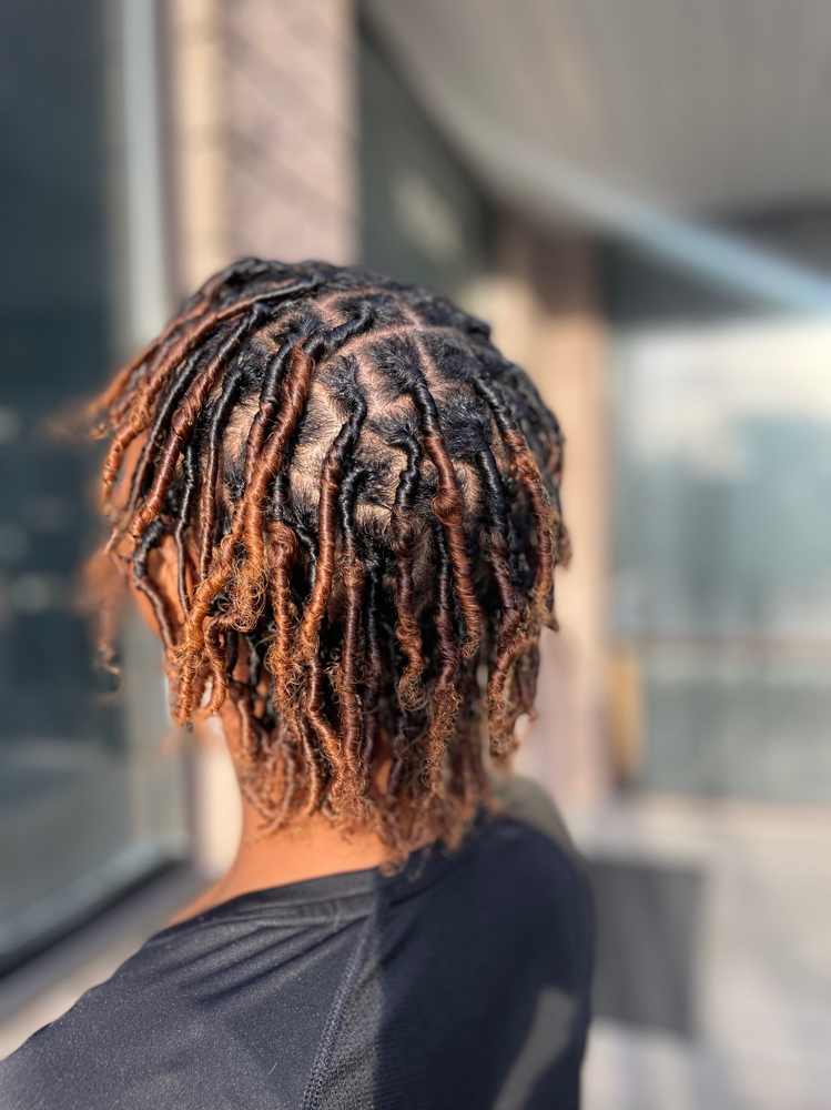 Starter Locs