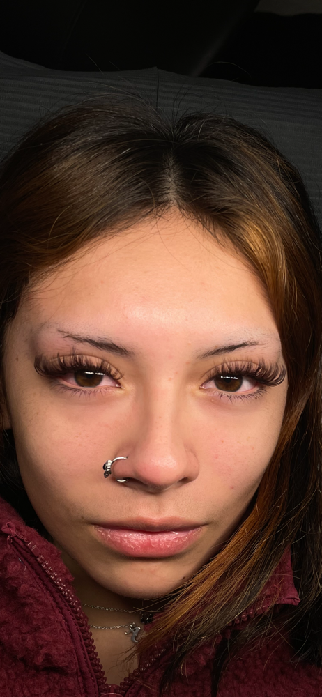Brown Lash Set