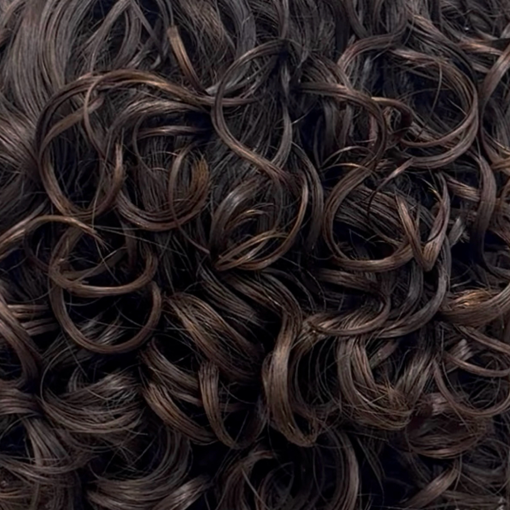 New Curly Mens Experience at Jae Curl Studio in Sarasota, FL