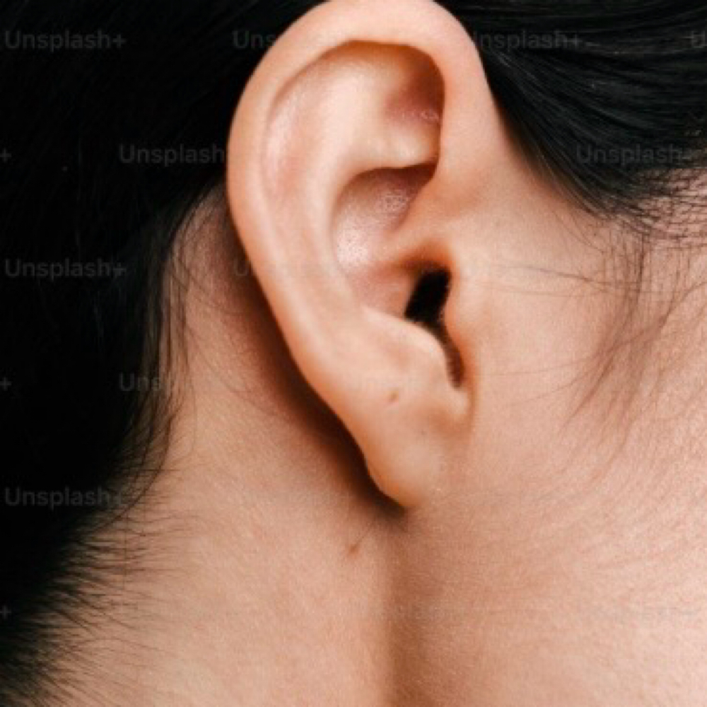 Ears at The Wax Lodge in Conroe, TX
