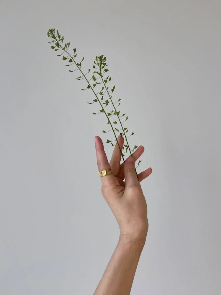 Hands