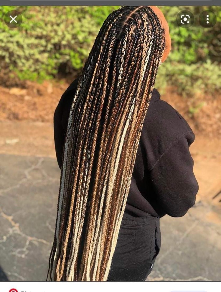 Small Knotless Braids (Pass Butt)