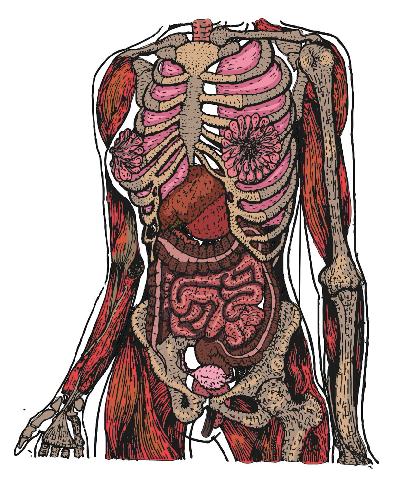 Relief + Recovery🩸