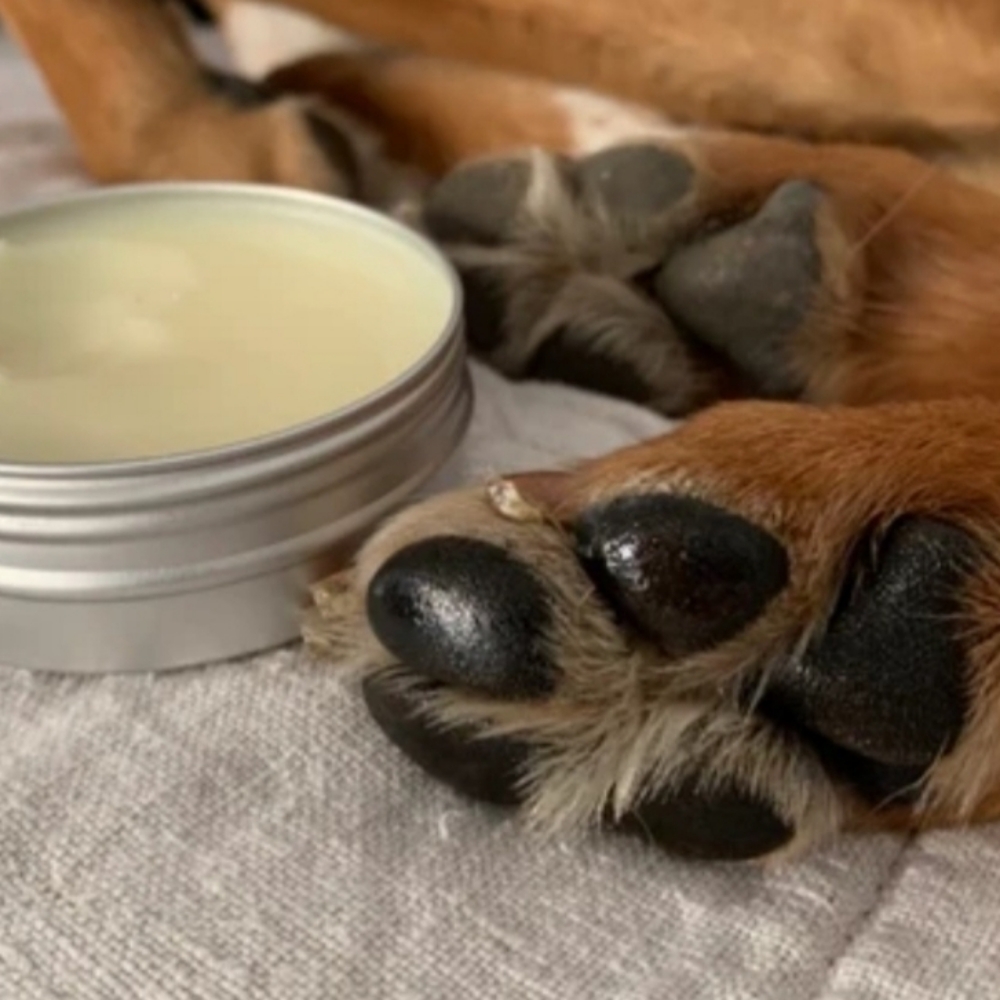 Paw Moisturizing Treatment at The Dog Mom Pet Services in Lusby, MD