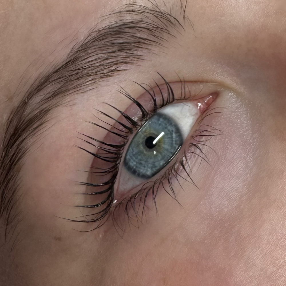 Lash Lift at ButterflyKissesbyh in Clear Lake, TX