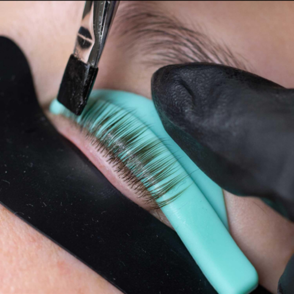 Lash Lift & Tint at Eliza Harper in Bowling Green, KY