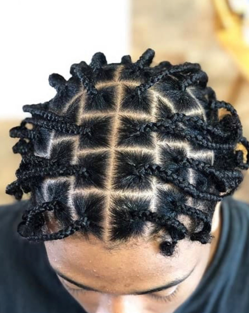 3-Strand Plaits (full Head)