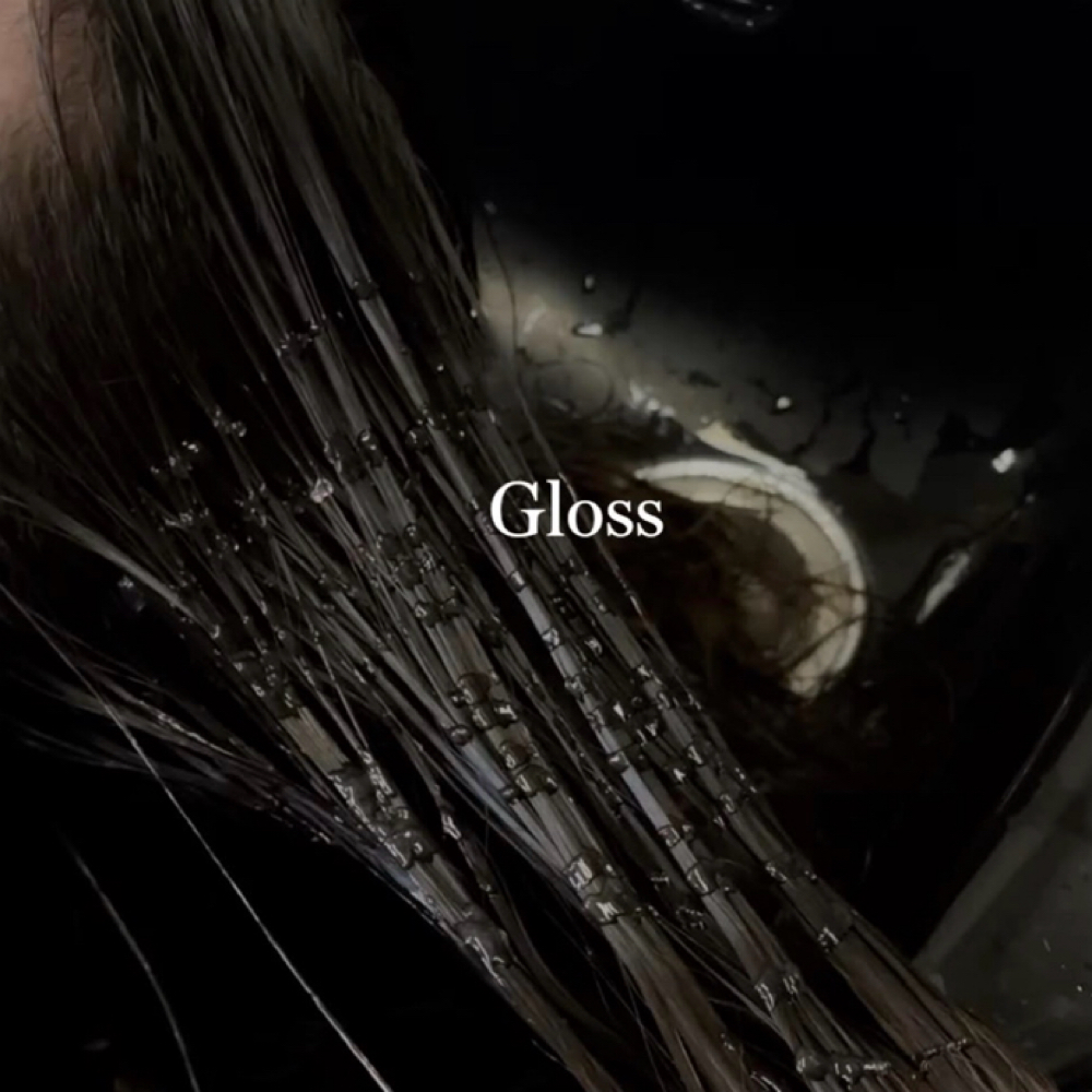 Gloss at Sophisticated Styles by Soph in Merrill, WI