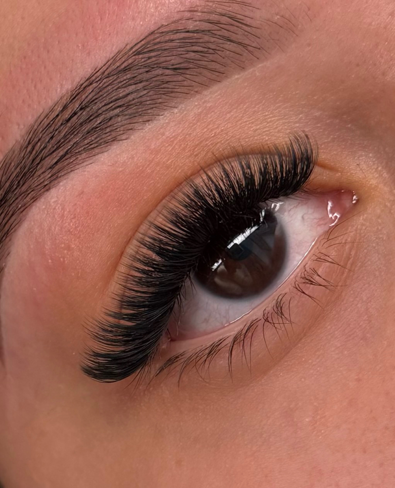 Volume Lashes