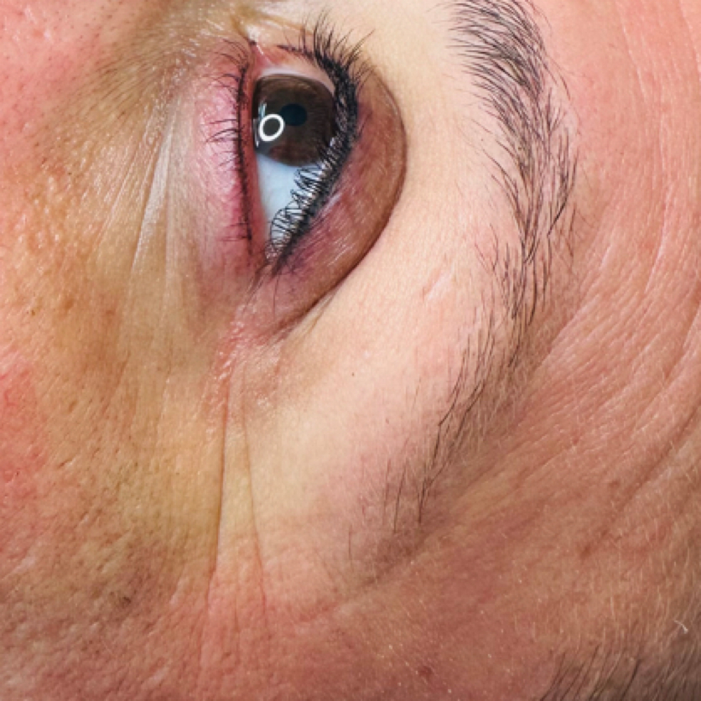 Eye Liner Top & Bottom at Brow Cartel in Brooksville, FL