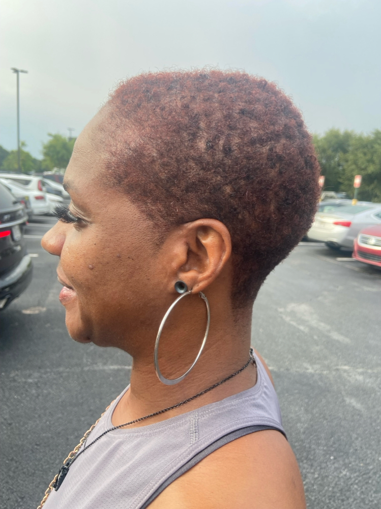 Short Cut Perimeter ShapeUp
