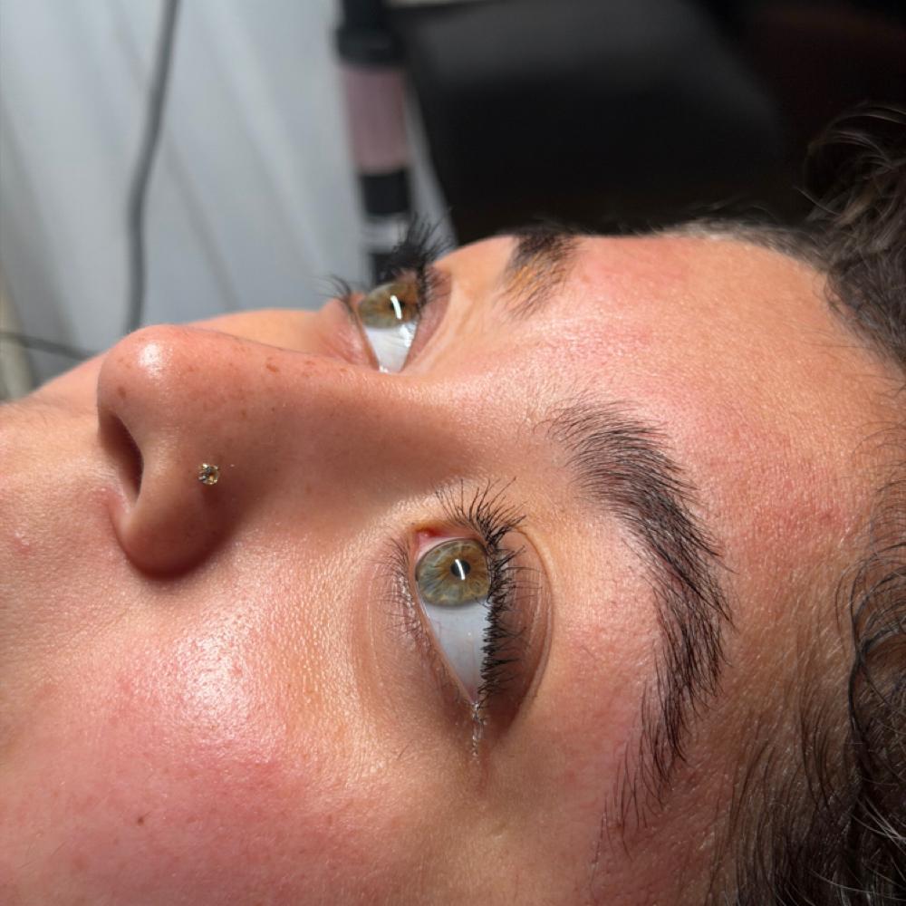 Brow Wax & Tint at Soft Stone Esthetics in Bladensburg, MD