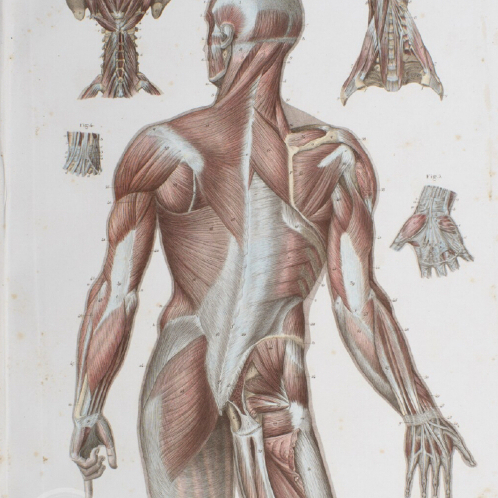 The Reset at Reforge Bodywork in Reno, NV