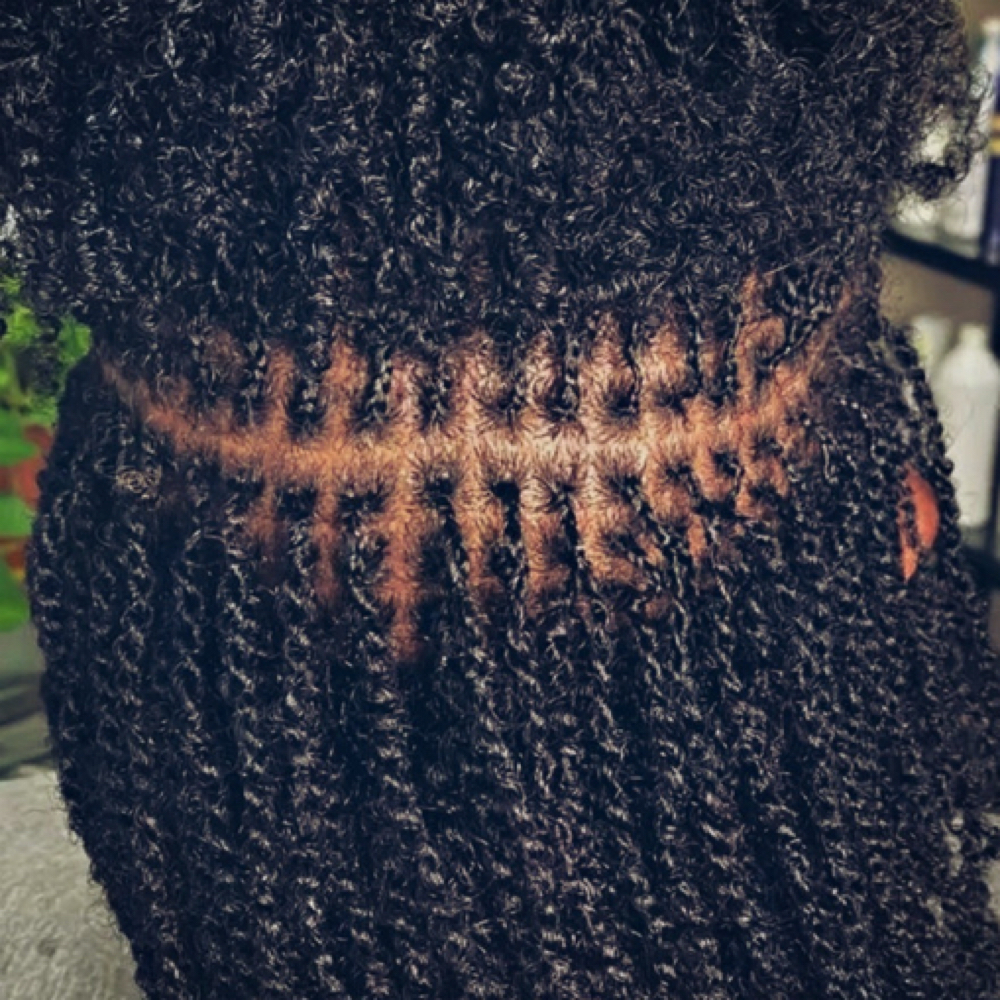 MINI TWISTS at Bignon's Hair Braiding - South Tryon in CHARLOTTE, NC