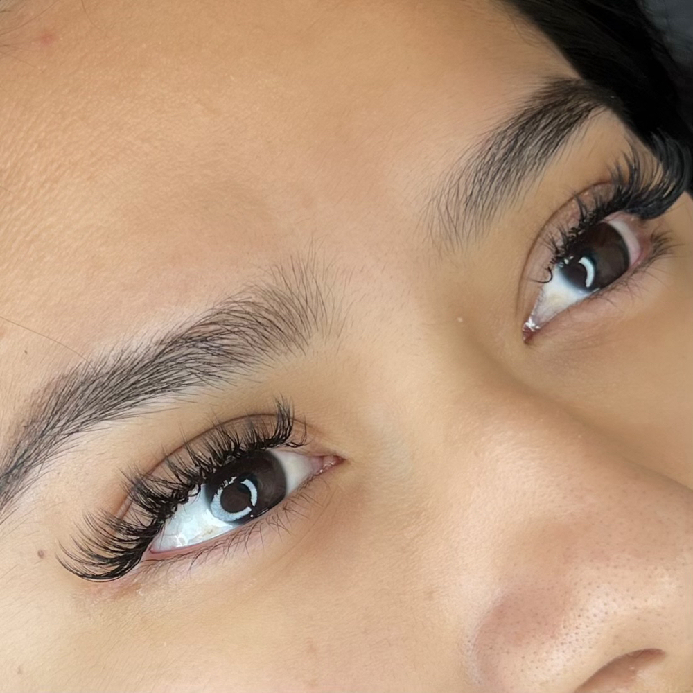 LASHES 2 WEEK FILL