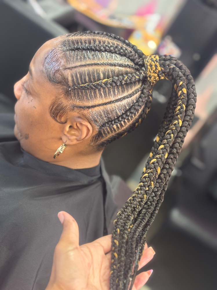 Feedin Ponytail at Styles By Lita in Westland, MI