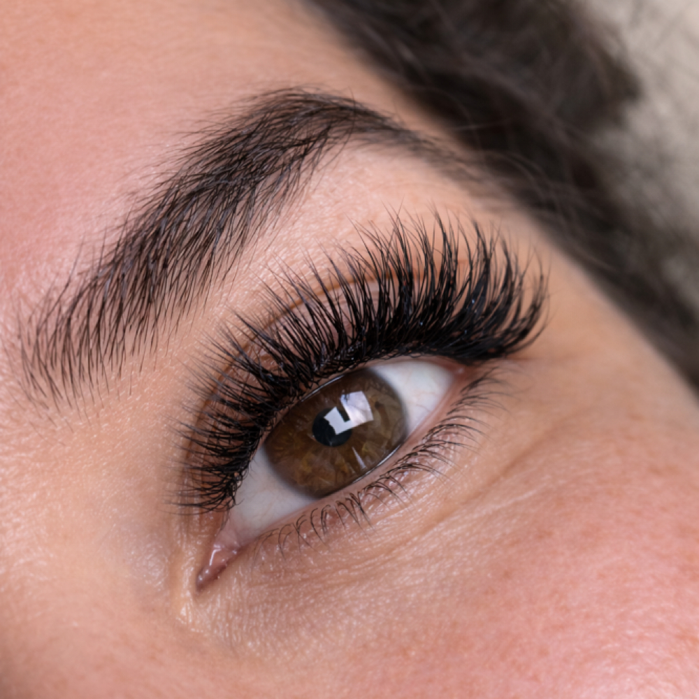 Volume Set at Noire lash by sarnavskaia in San Antonio, TX