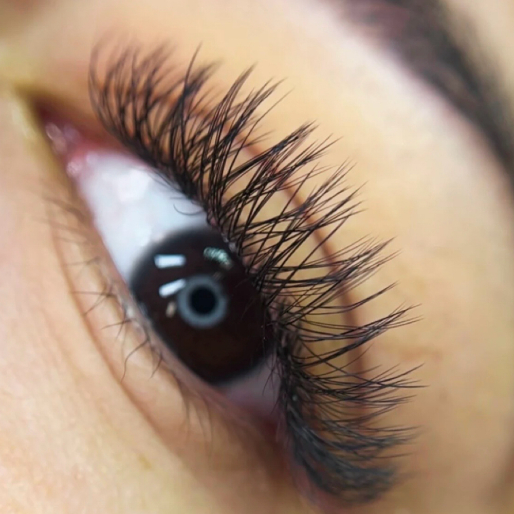 Member Hybrid Volume Full Set at Wink Lash Studio in memphis, TN
