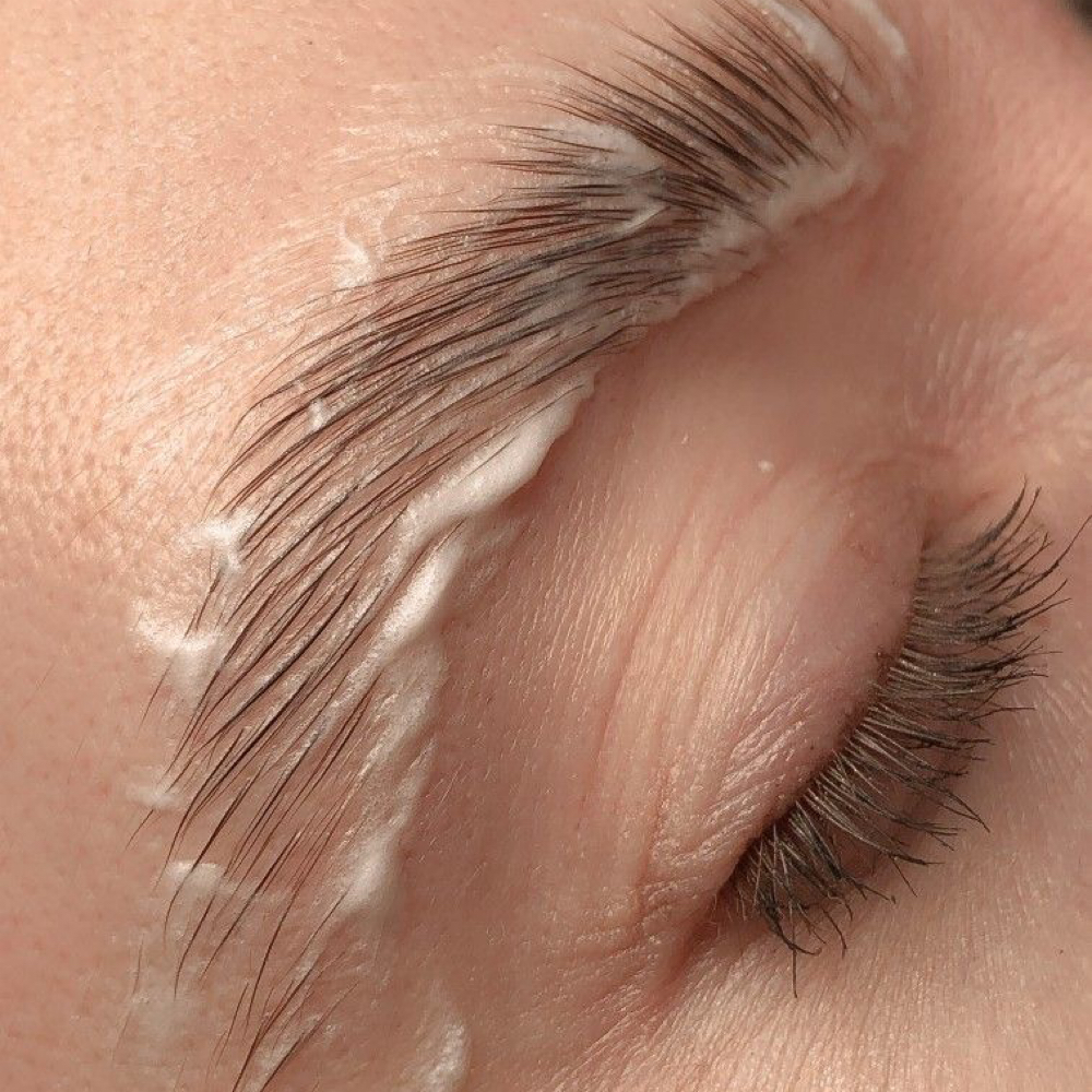 Brow Lamination at Wild Roots Hair Studio in Knoxville, TN