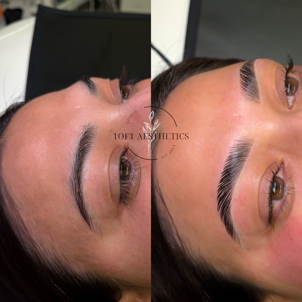 Brow Bundle