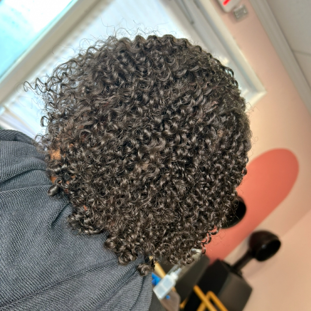 Twist Out at Eden Holistic Hair in Hendersonville, TN