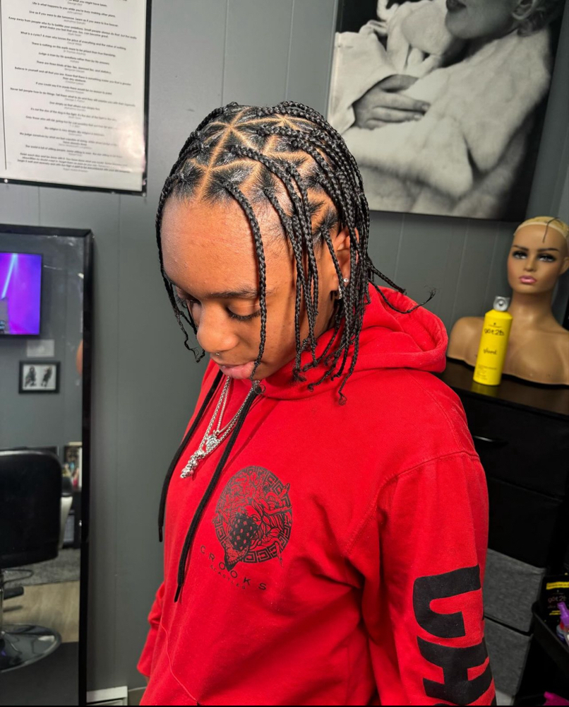 Natural Large Box Braids / Twist