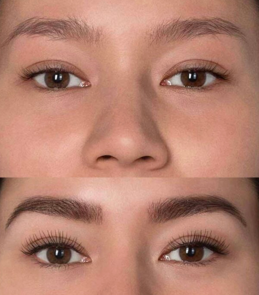 Eyebrow OR Eyelash Tint