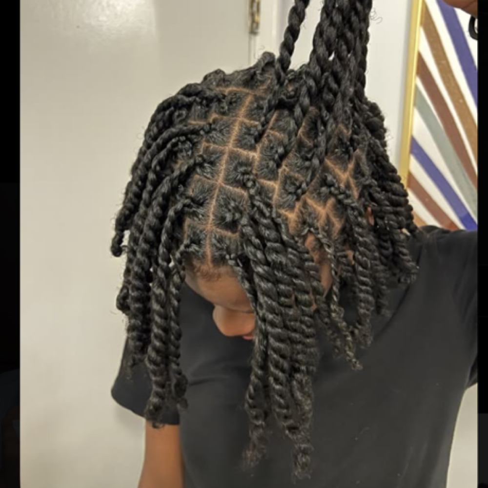 Mens Two-strand Twist Natural at Hair by sani in Sacramento, CA