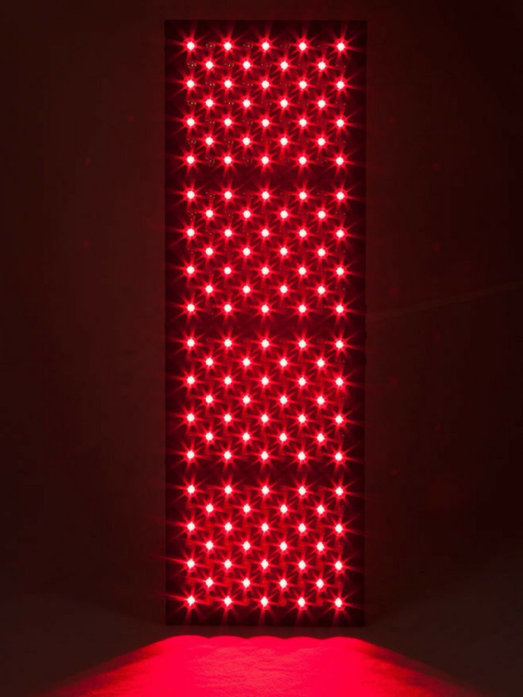 Light Therapy Belt - Back at The Twisted Angel Salon & Spa in Bloomington, IN