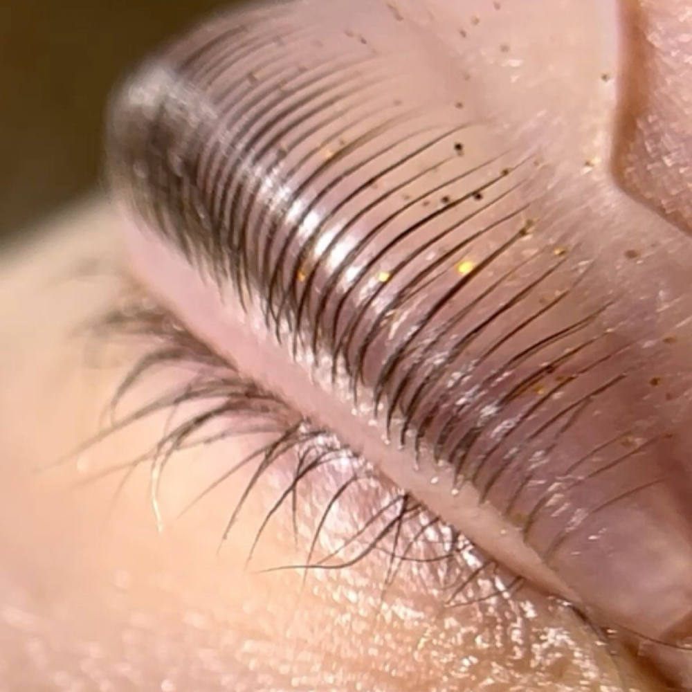 Halo Lash Lift + Tint at Angelkind Aesthetics