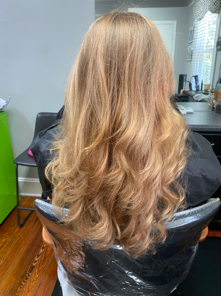 Womens Cut (dry)