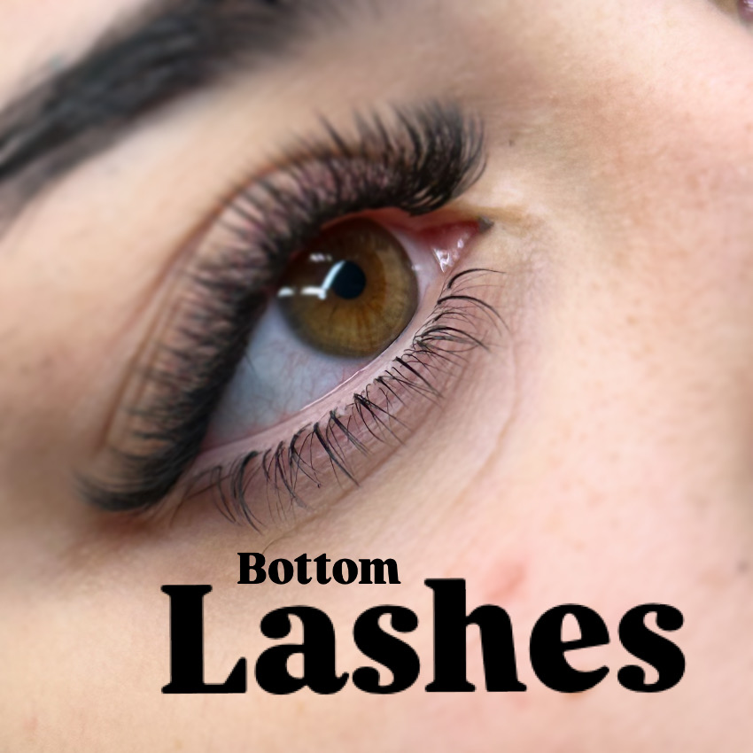 Bottom Lashes ADD +